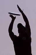 Friselis 1, vainqueur du BUT 2008